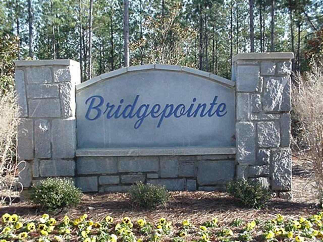 16 Bridgepointe Dr - Photo 1