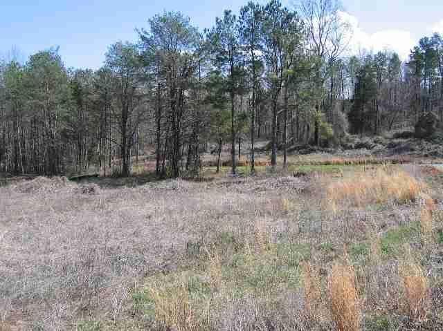 Lot 31 Misty View Court - Photo 1