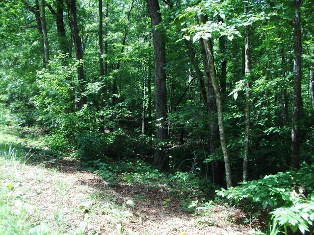 Tract 32 Curts Way - Photo 1