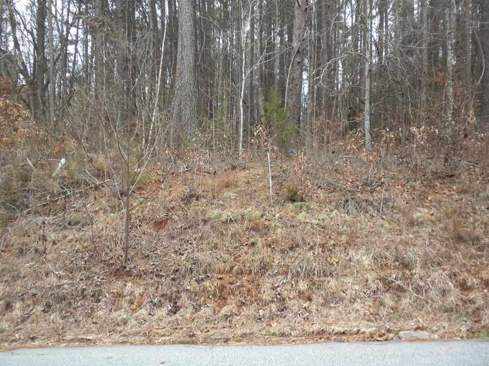 450 Holden Dr - Photo 1