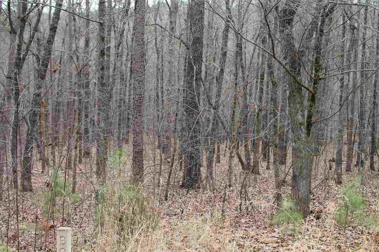 Lot 266 Waterside Crossing, Seneca, SC 29672 (MLS #20163246) :: Les Walden Real Estate