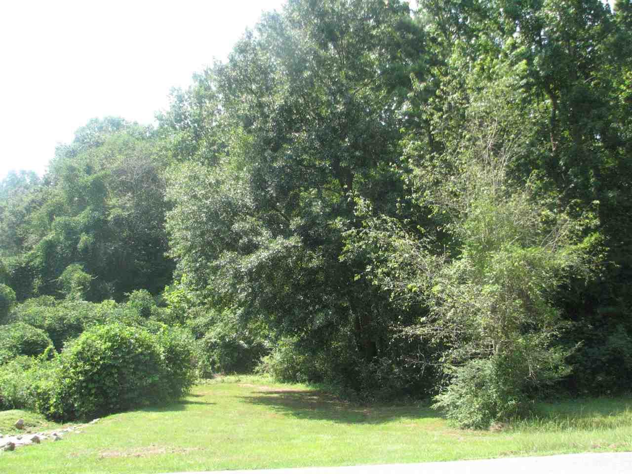 LOT C Little Creek Rd - Photo 1