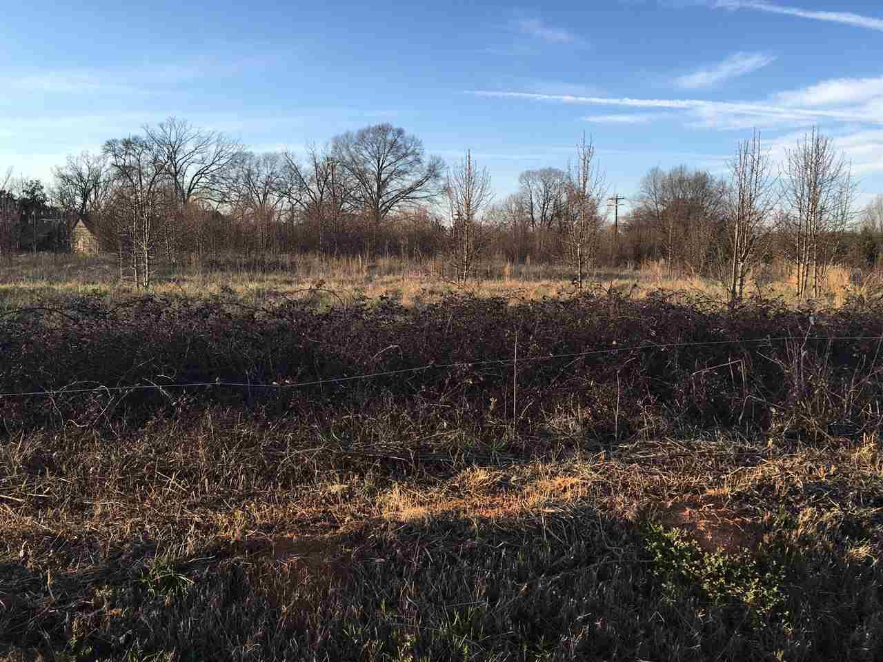 00 Clinkscales Road - Photo 1