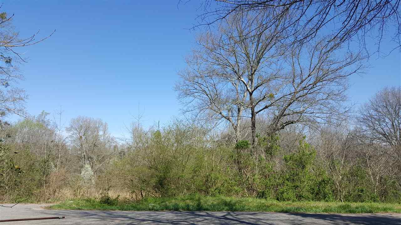 Spear Rd, Pendleton, SC 29670 (MLS #20175095) :: Les Walden Real Estate