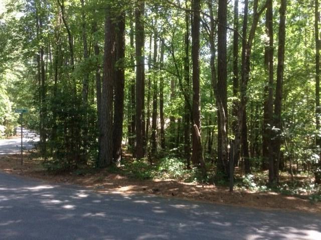 1 Passage Lane, Salem, SC 29676 (MLS #20175689) :: Les Walden Real Estate