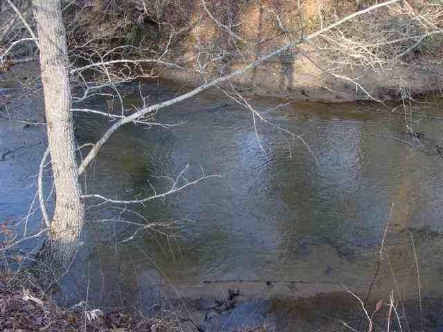 141 Grant Mill Road - Photo 1