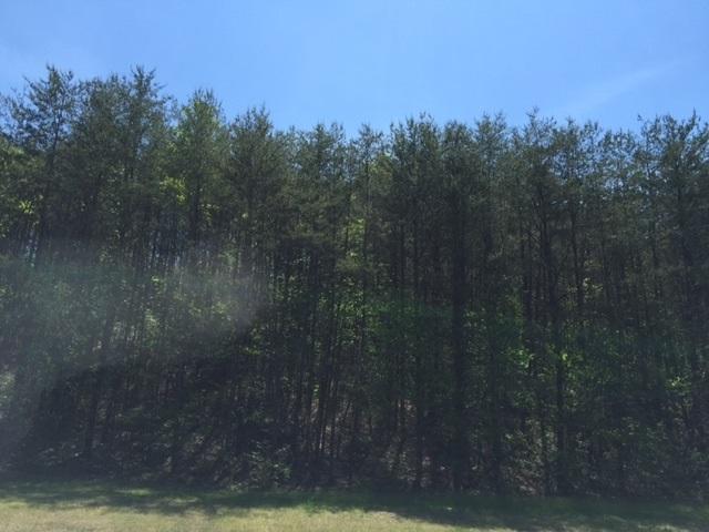 5.52 ac Highway 11 - Photo 1
