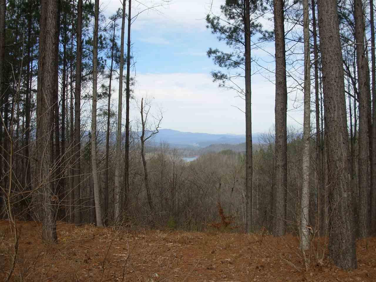000 Top Ridge Dr./Coldwater Dr., Sunset, SC 29685 (MLS #20177802) :: Les Walden Real Estate