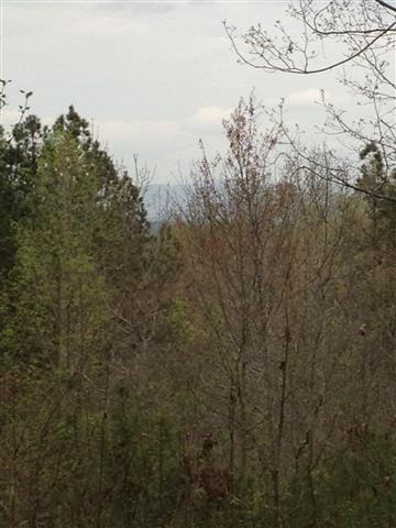 LP5 627 Pine Harbor Way - Photo 1
