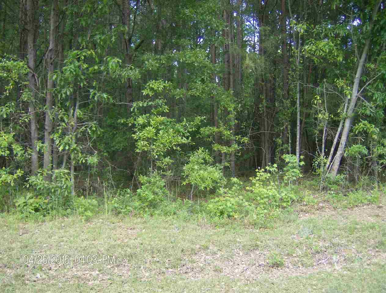 10017 Anderson Rd - Photo 1