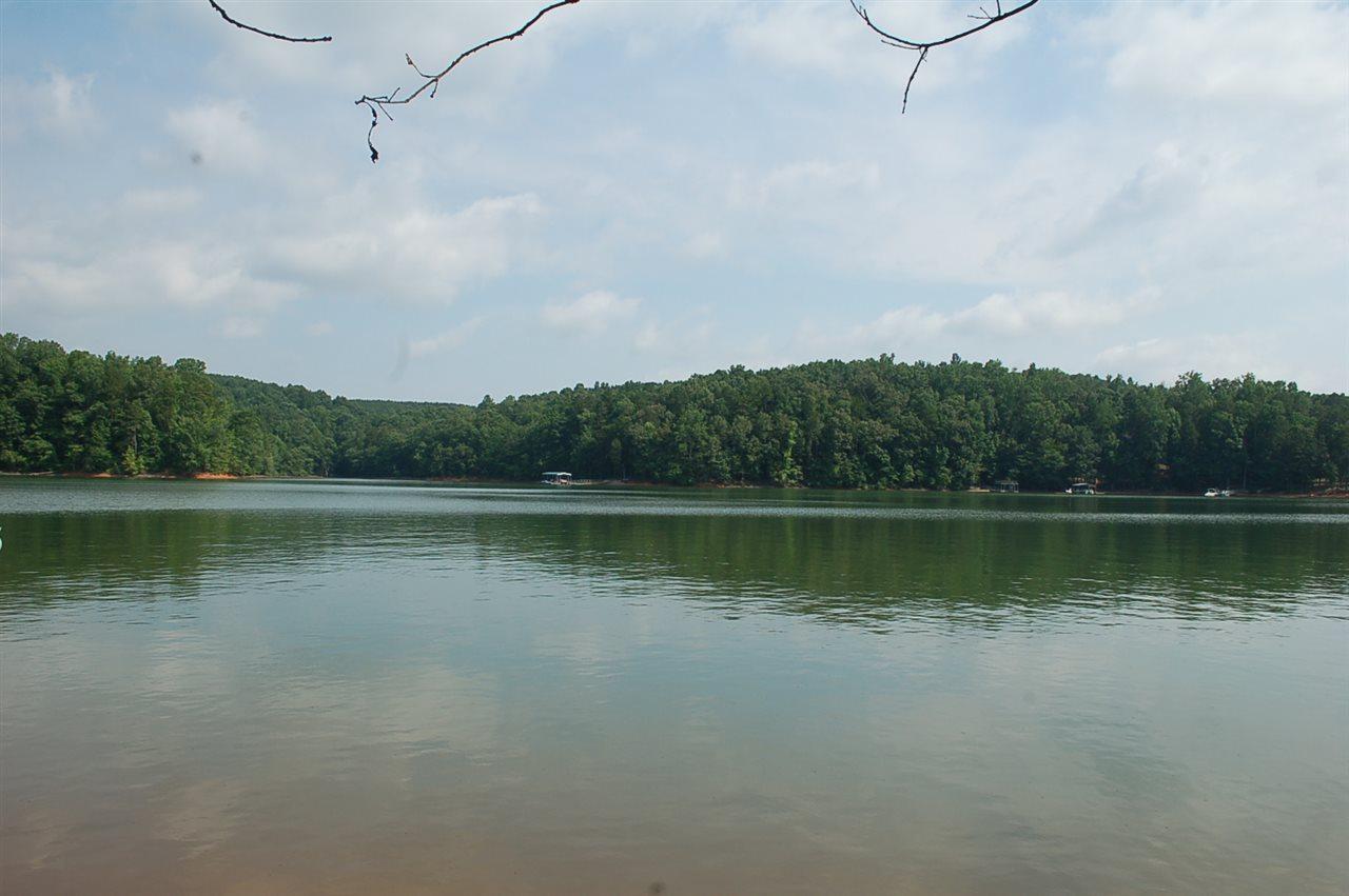 Lot 40 Martin Lake Drive - Photo 1