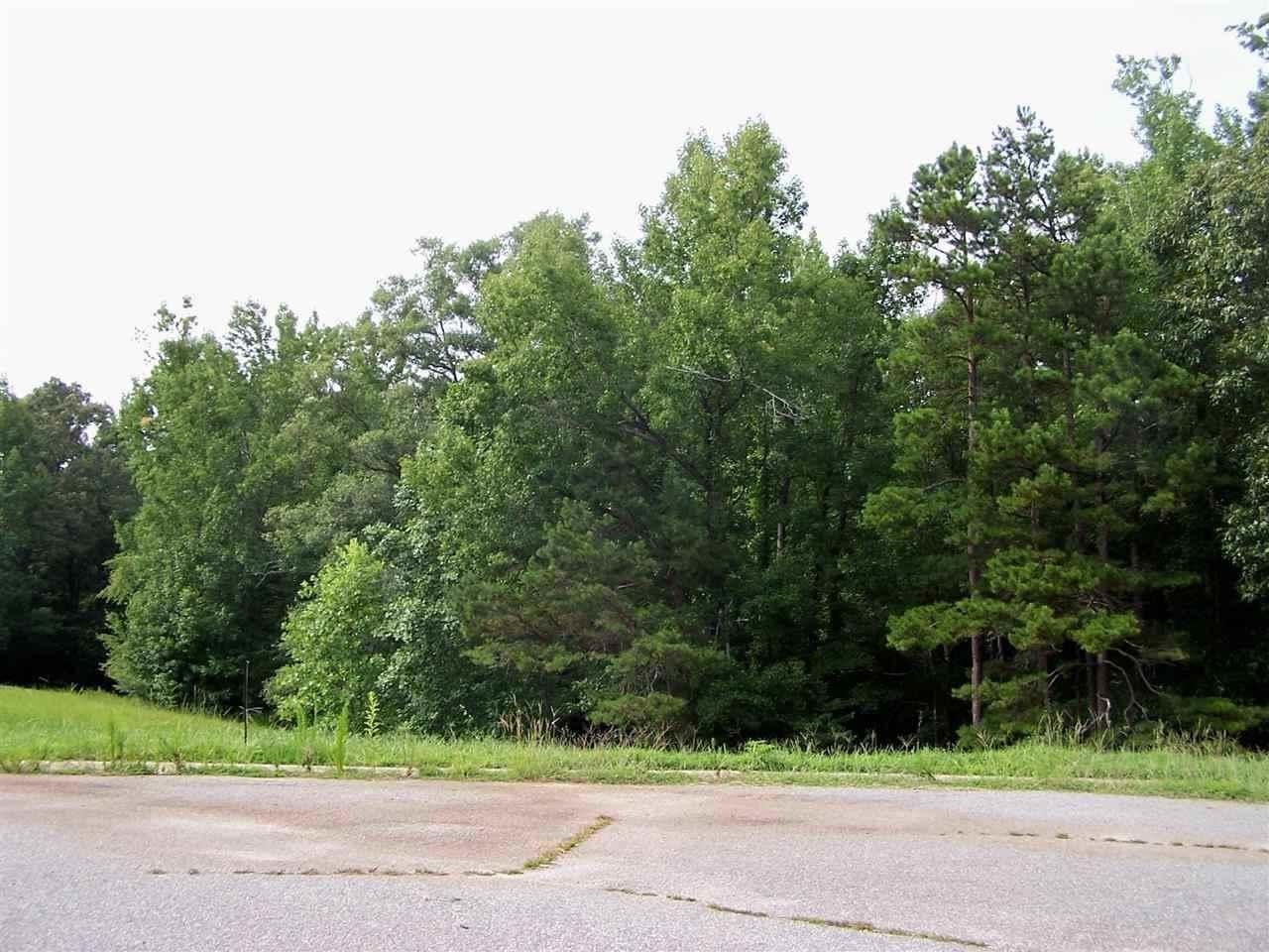 Lot 22 Sally Reed Road - Photo 1