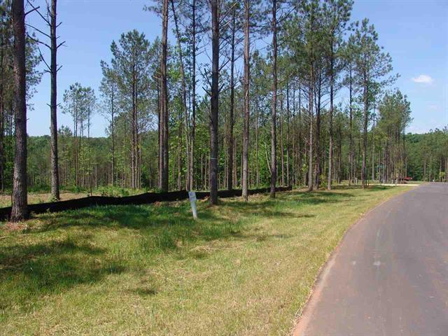 Lot 142 Peninsula Pointe South - Photo 1