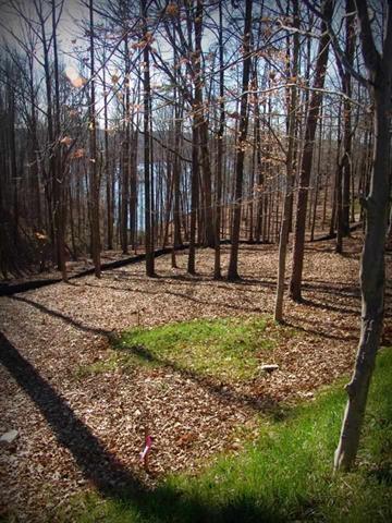 Lot 55 Peninsula Pointe South - Photo 1