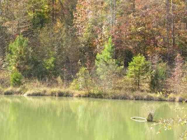 LOT 17 Winterbrook Circle - Photo 1