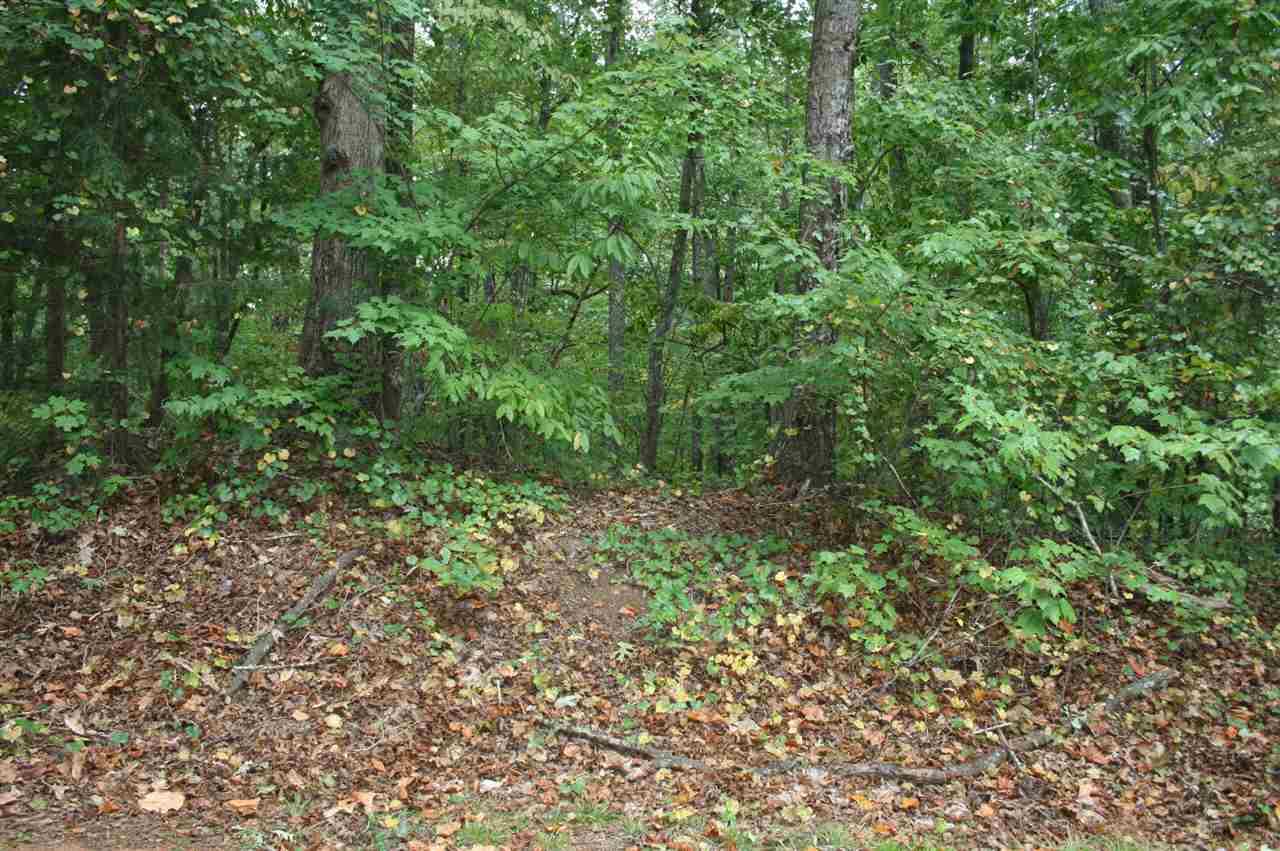 103 Foxglove - Photo 1