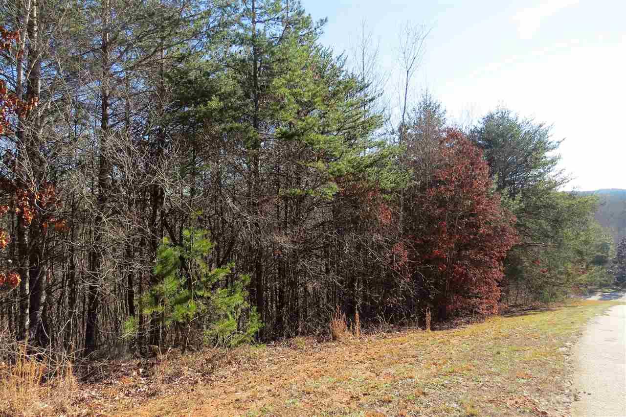 lot 7 Rock Creek Trail - Photo 1