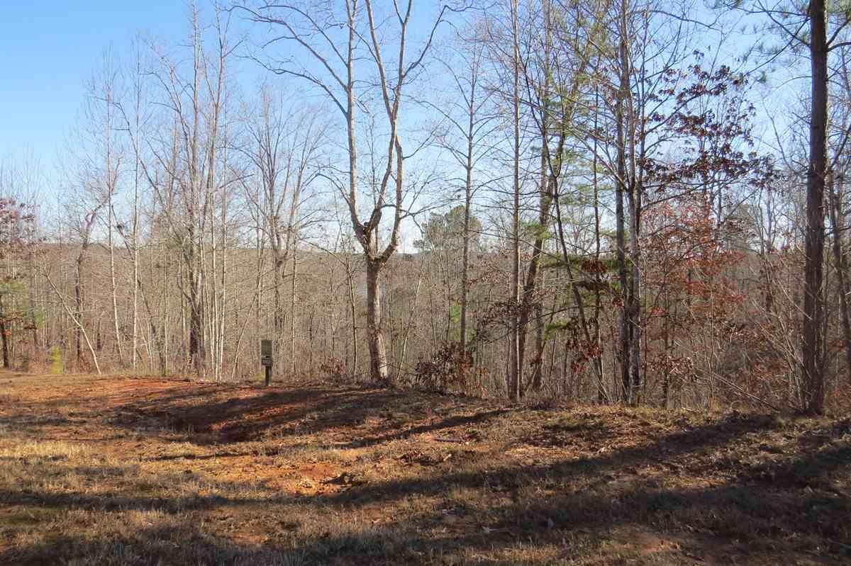526 Edgewater Trail - Photo 1