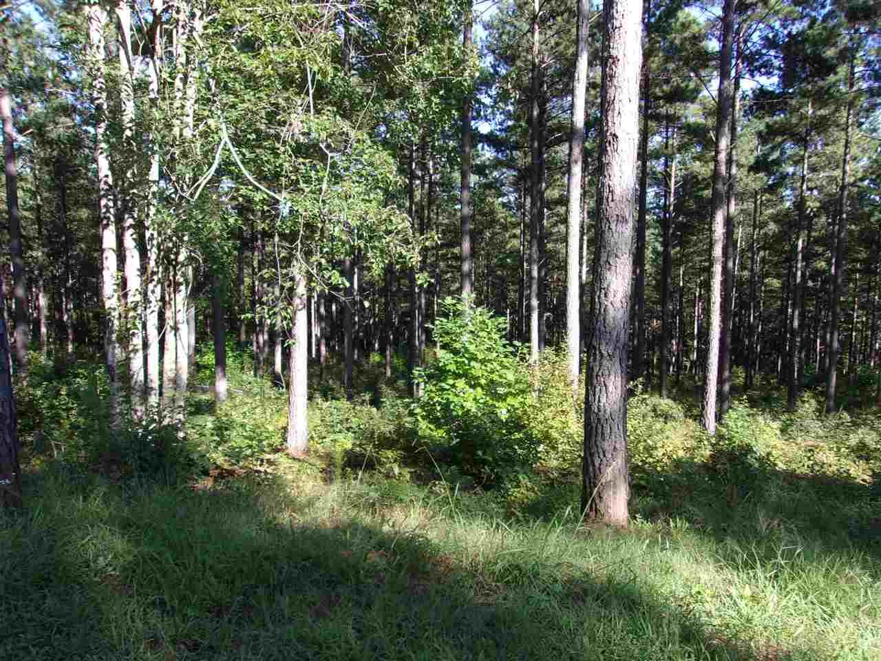 Lot 62 High Pines Drive - Photo 1