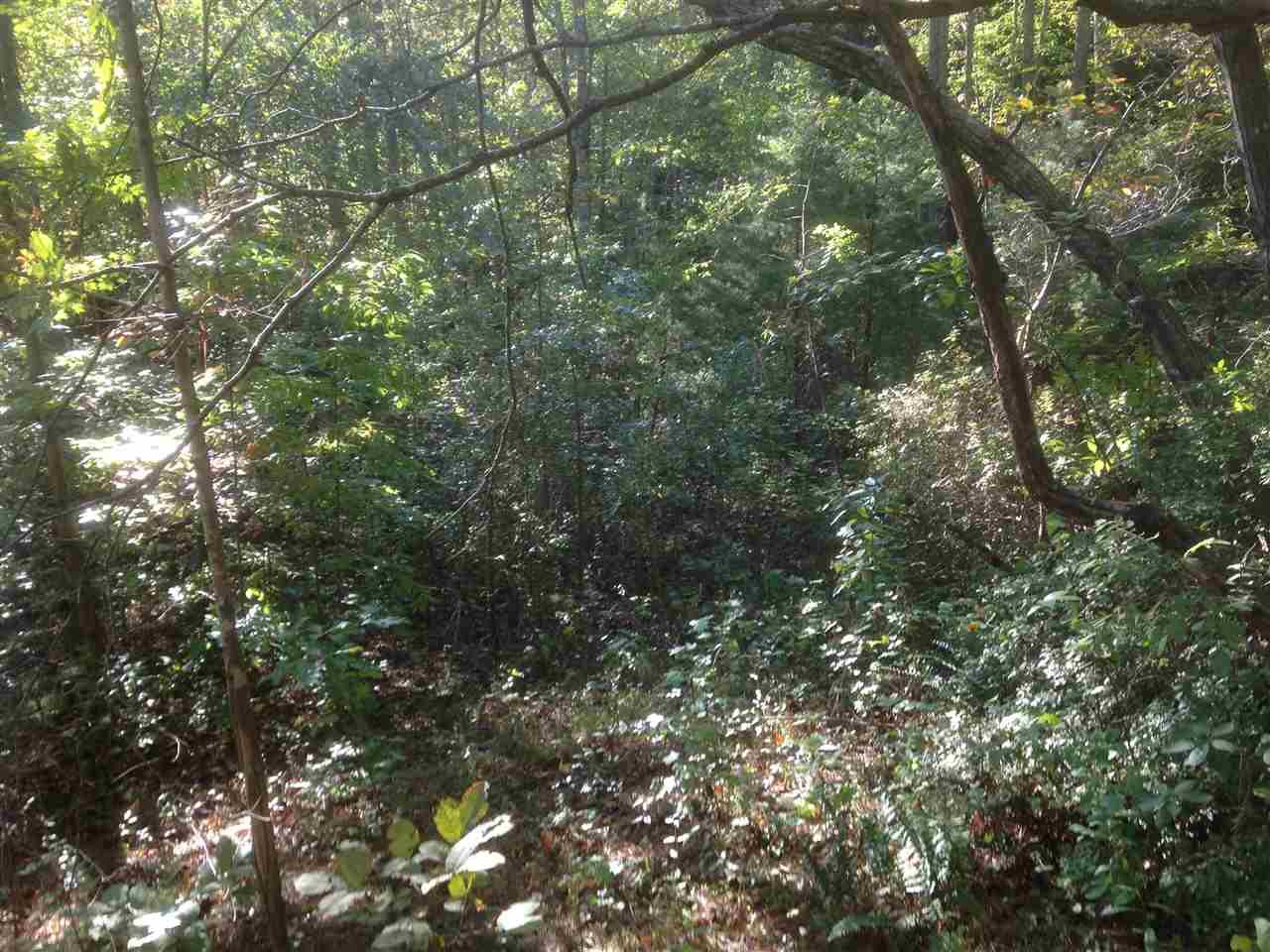 2354 Hwy 11 - Photo 1