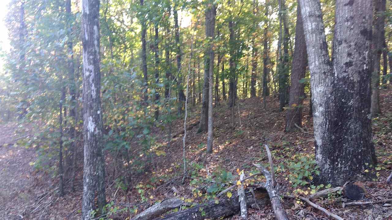 Lot 2 Jocassee Falls - Photo 1
