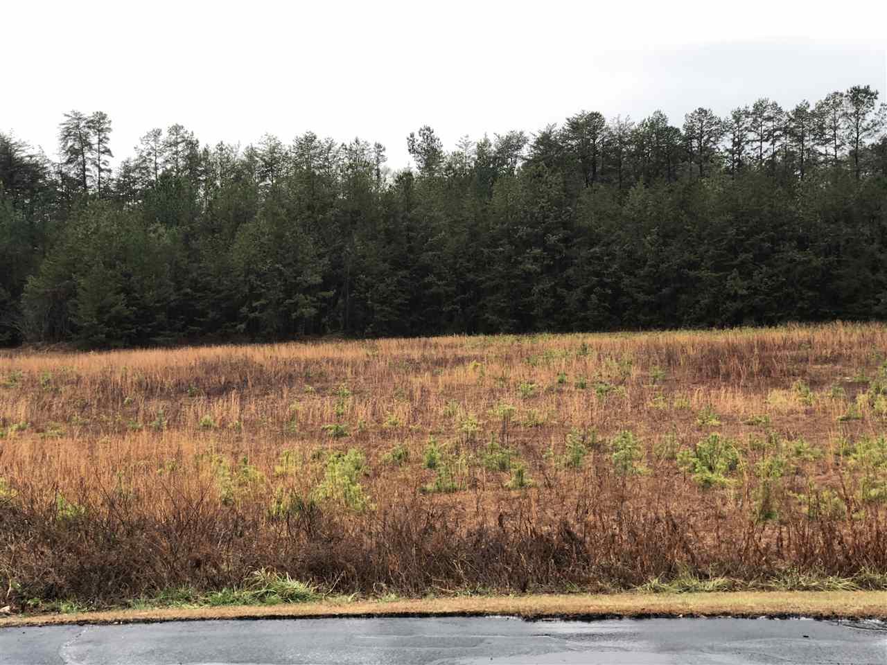 3689 A Blue Ridge Boulevard - Photo 1
