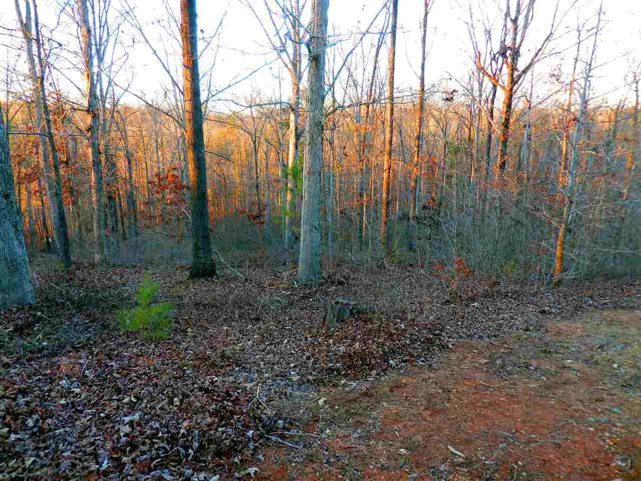 Lot 038 Overlook Drive - Photo 1