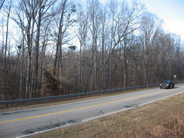 Tract 3 Wells Highway - Photo 1