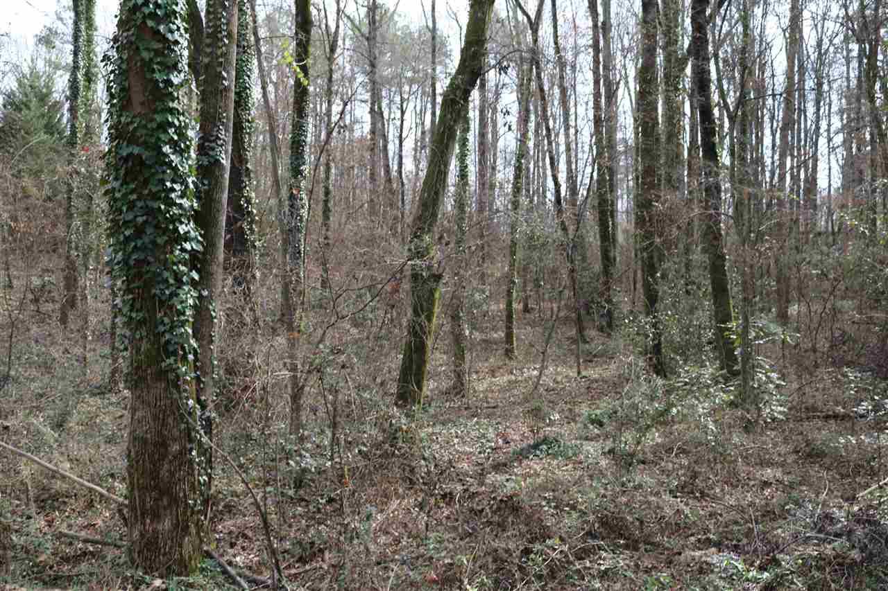 607 Brookgreen Drive - Photo 1