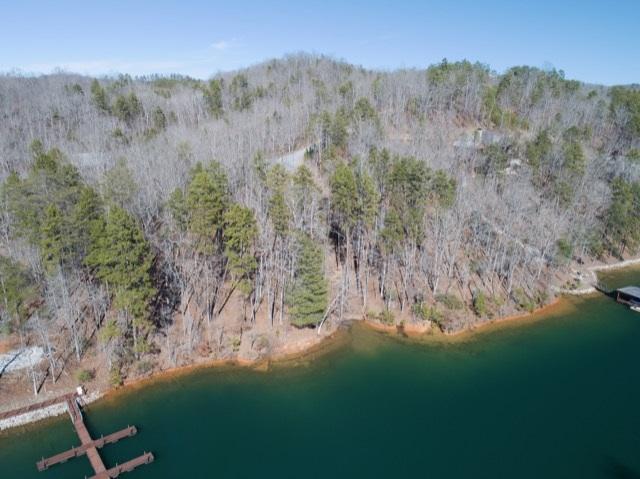 307 Bear Creek Valley Road - Photo 1