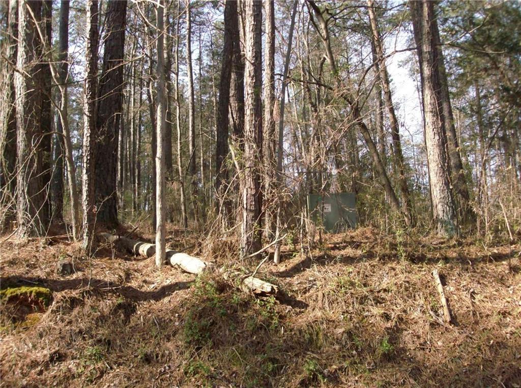 00 Lot 22 Pine Lane - Photo 1
