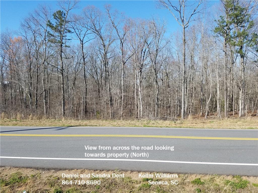 Lot A Lecroy Road - Photo 1