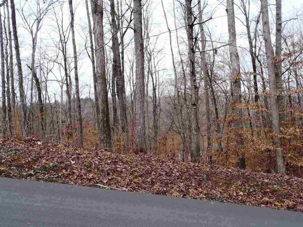 146 Chilhowee Drive - Photo 1