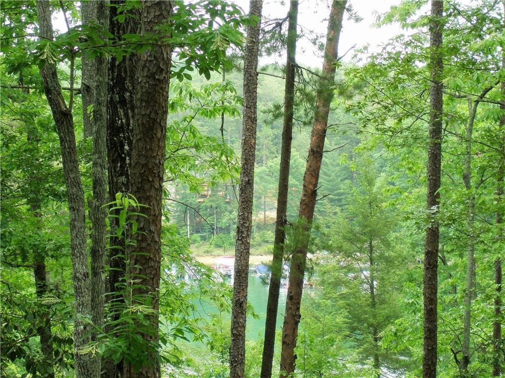 455 Shimmering Water Lane - Photo 1