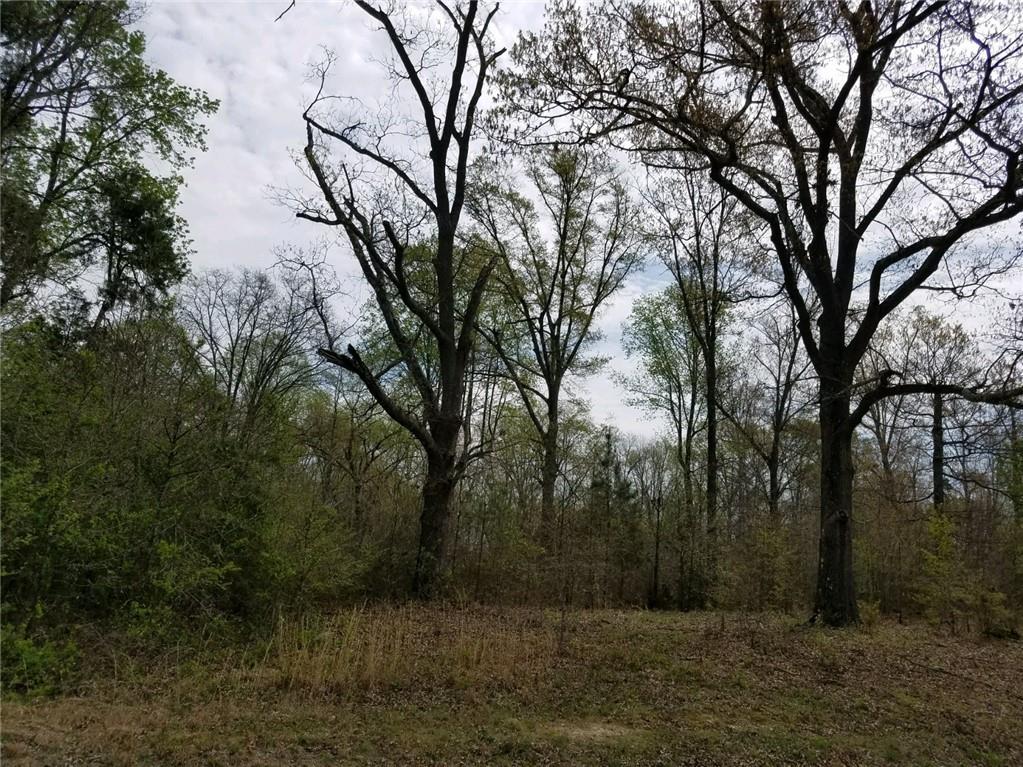 Lot 5 Topher Street - Photo 1