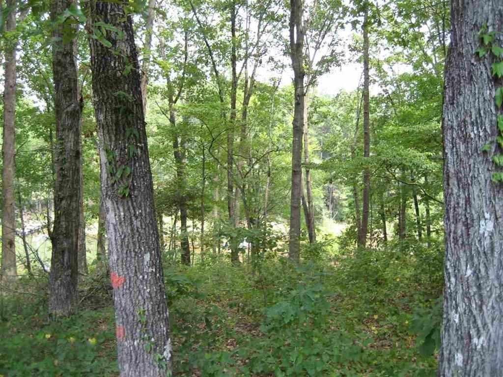 Lot 036 Overlook Drive - Photo 1