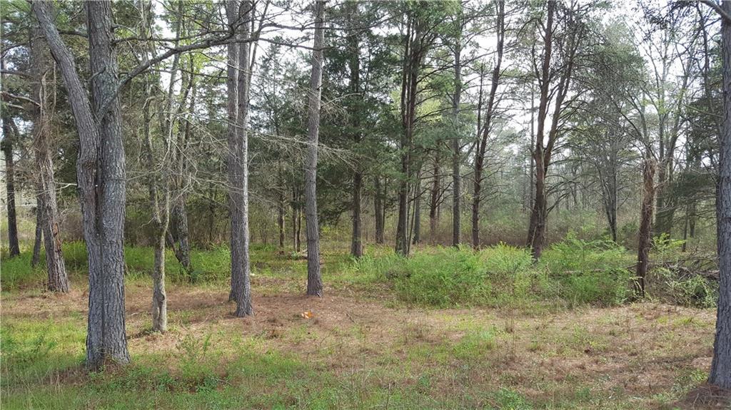 9.44 acres Richland Road - Photo 1