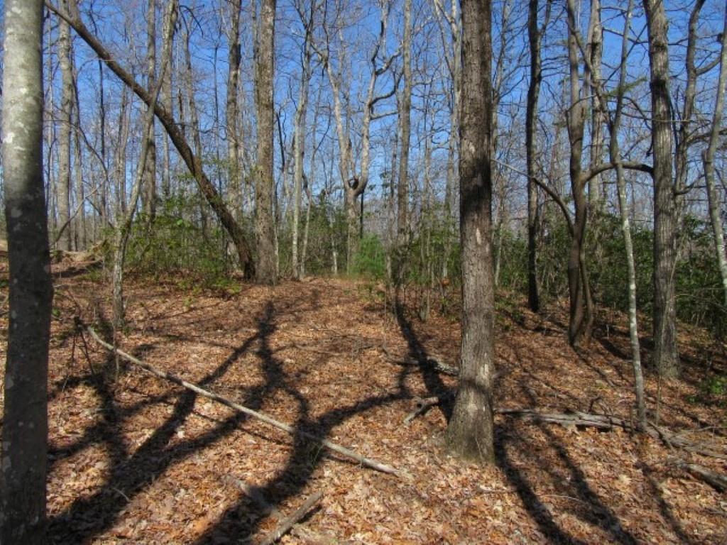 Lot 191 Larkspur Lane - Photo 1