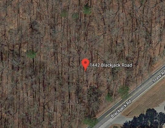 1442 Blackjack Road - Photo 1