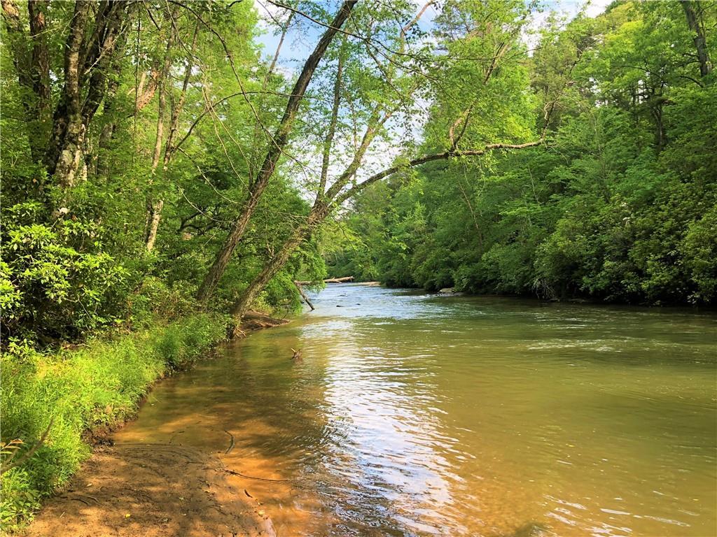 175 Cherokee Crossing Trail - Photo 1