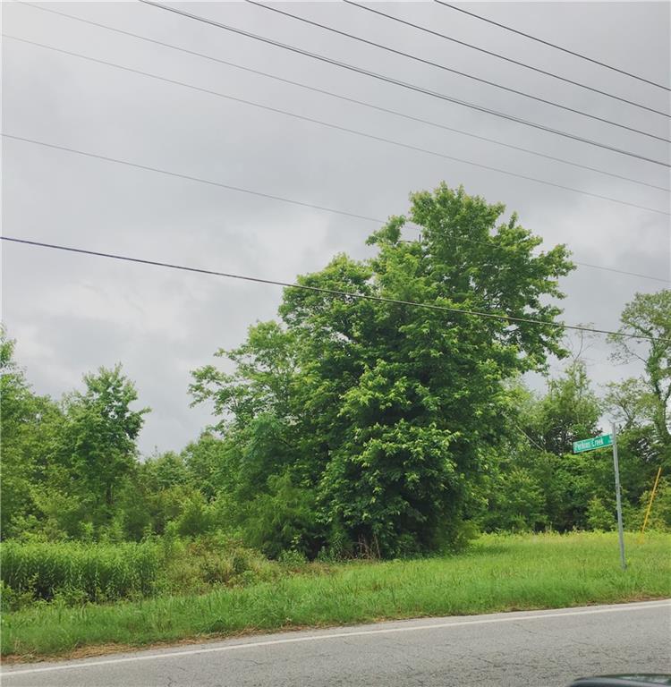 Tract 1 Perkins Creek Road - Photo 1