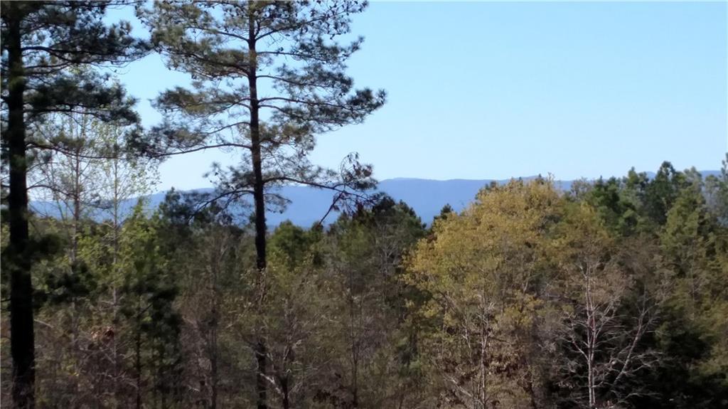 1-9 Cliffs Vista Parkway - Photo 1