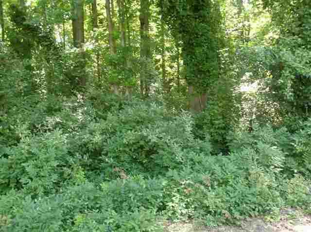 P16,+17,18,19 Woodland Drive - Photo 1