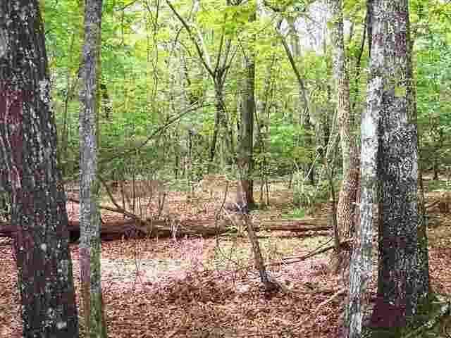 Tract 34 Curts Way - Photo 1
