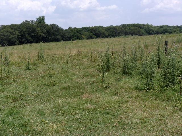 00 Higway 29 Highway - Photo 1