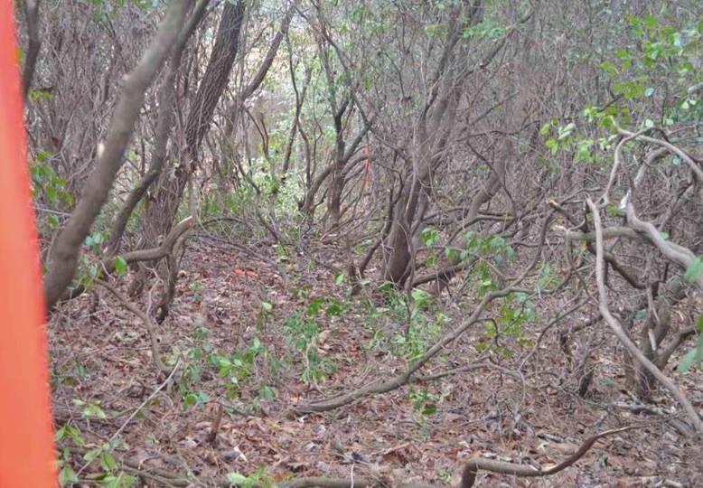 00 Chalmers Mountain Road - Photo 1