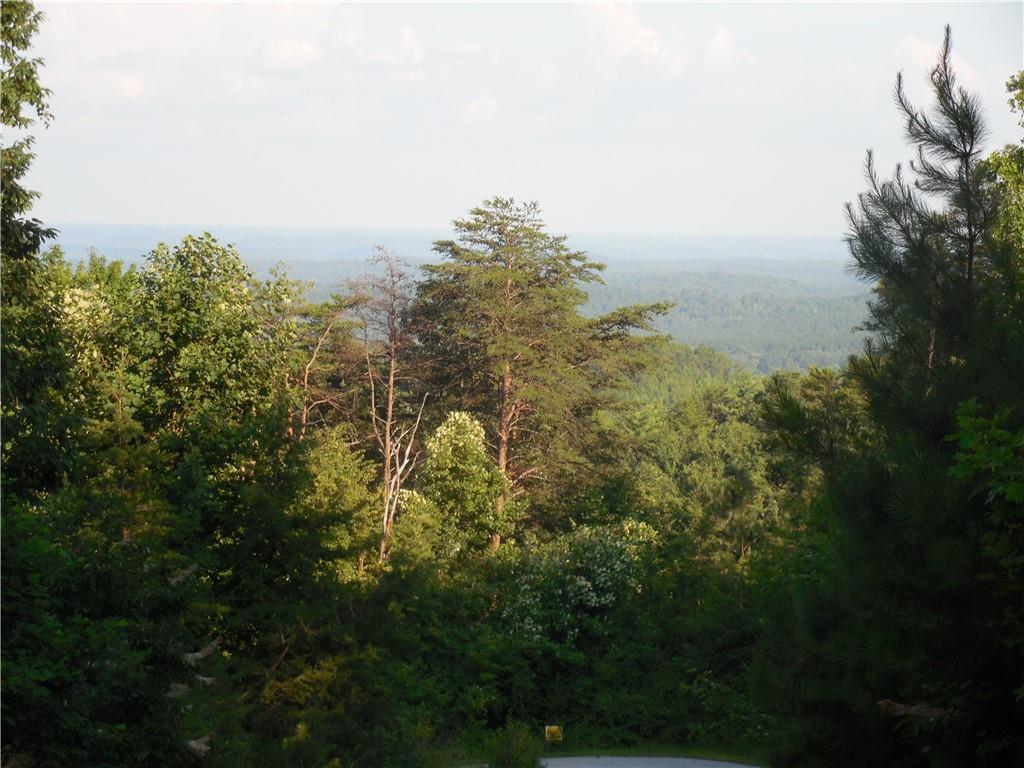 N31 Mountain Laurel Drive - Photo 1