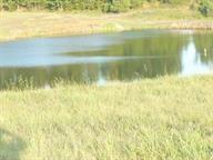 1.5 ACRES Leroy Road - Photo 1