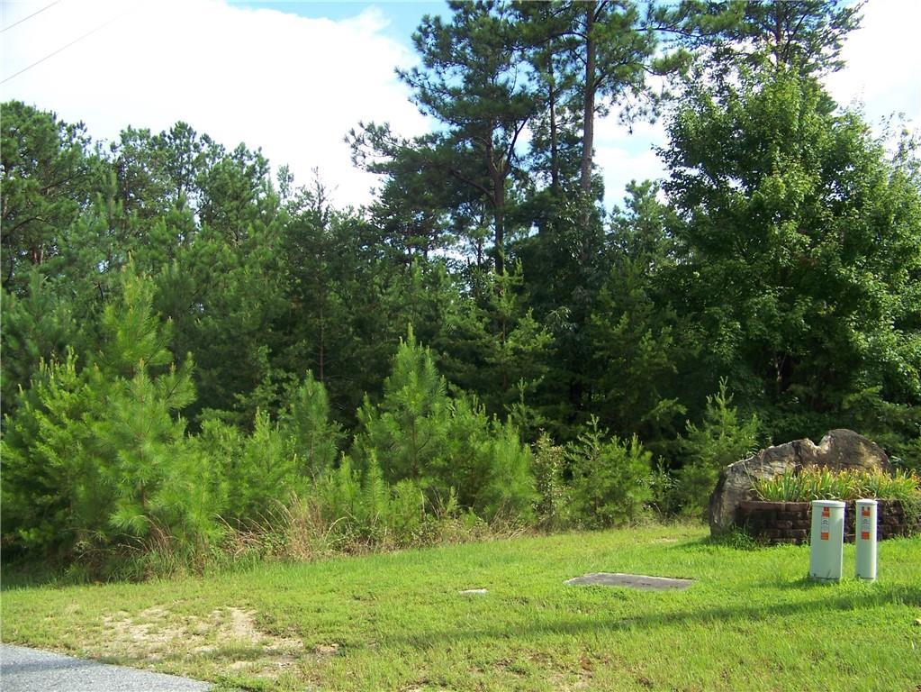 00 Jocassee Ridge - Photo 1