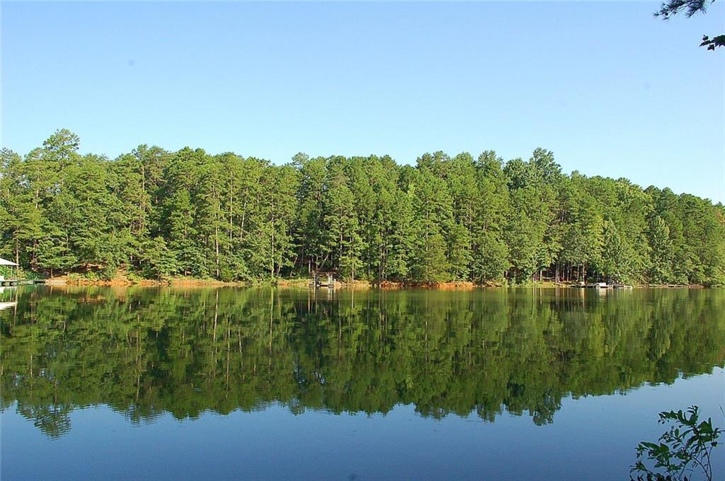 Lot 20 North Shores Road - Photo 1